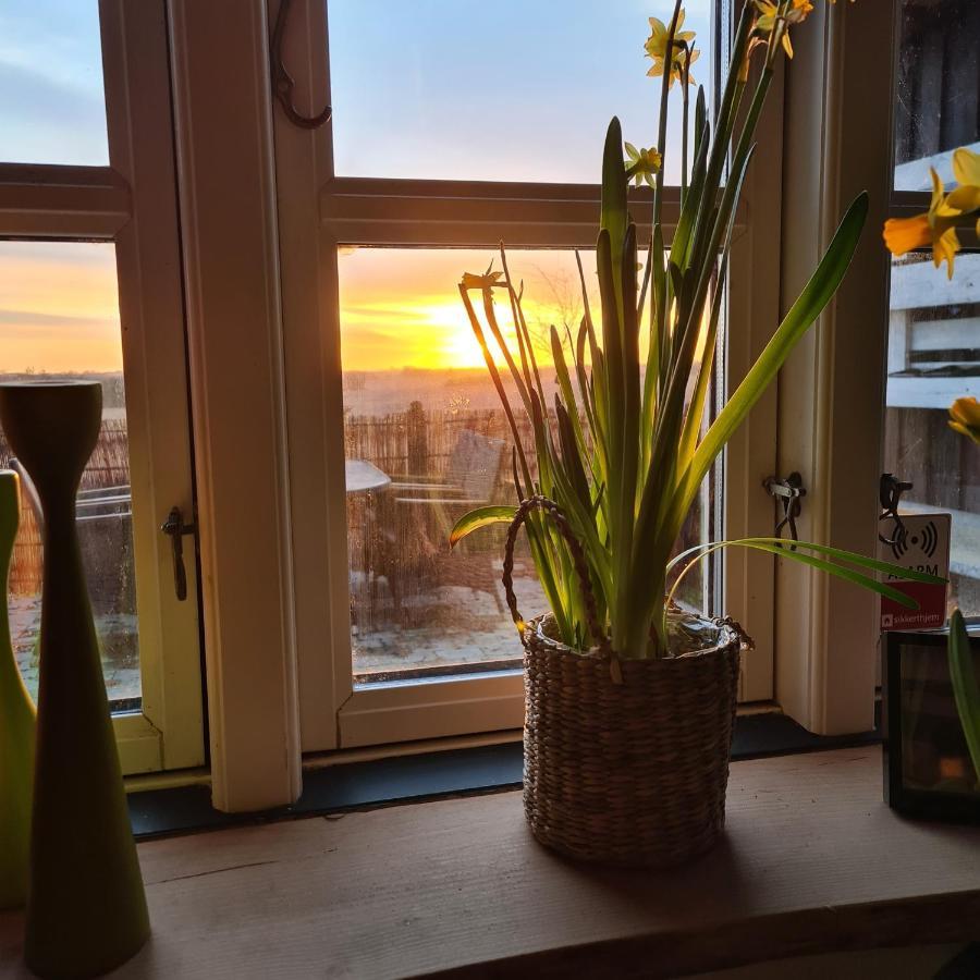 Marsvinslund Bed And Breakfast Viborg Eksteriør bilde