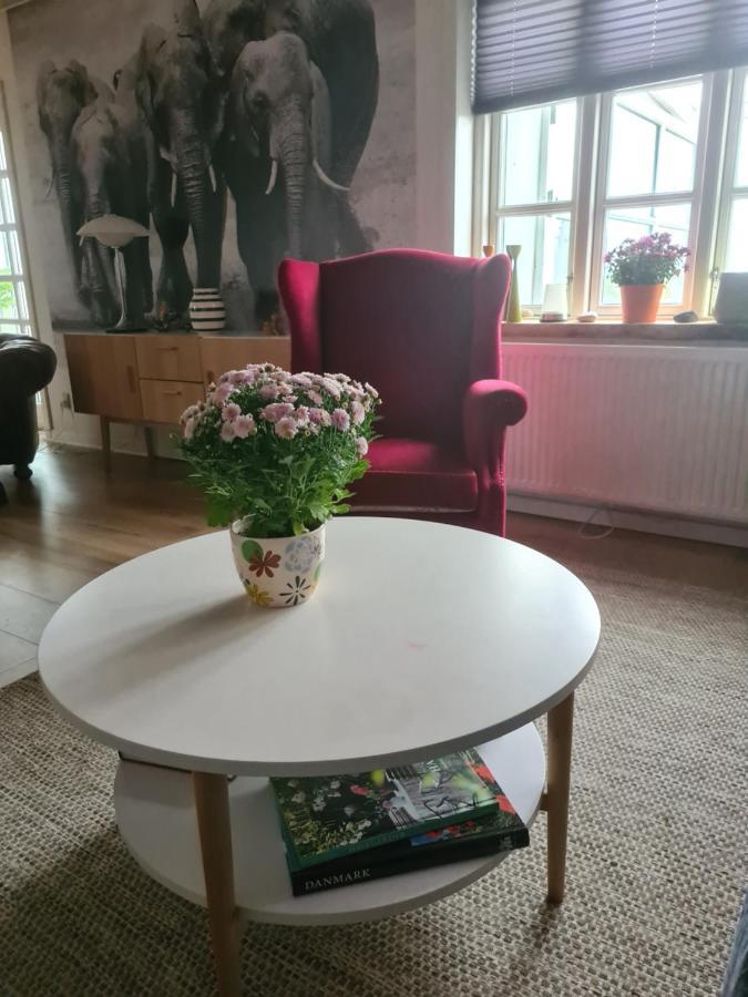 Marsvinslund Bed And Breakfast Viborg Eksteriør bilde