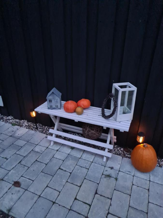 Marsvinslund Bed And Breakfast Viborg Eksteriør bilde
