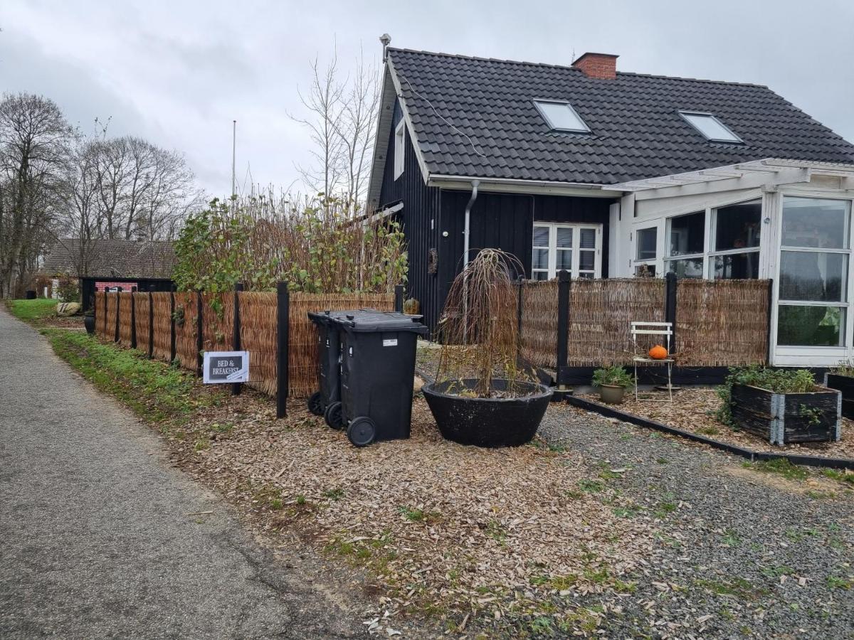 Marsvinslund Bed And Breakfast Viborg Eksteriør bilde