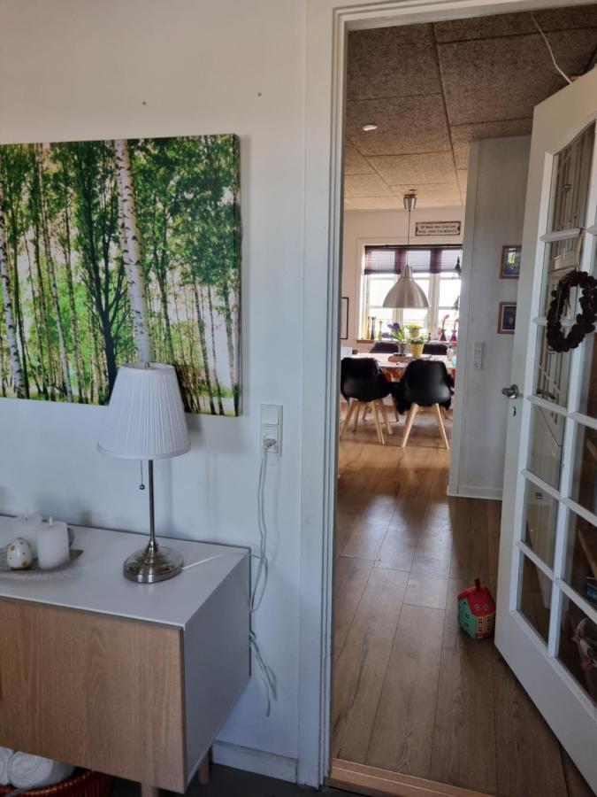 Marsvinslund Bed And Breakfast Viborg Eksteriør bilde