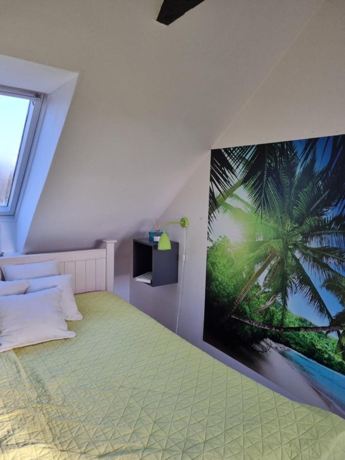 Marsvinslund Bed And Breakfast Viborg Eksteriør bilde