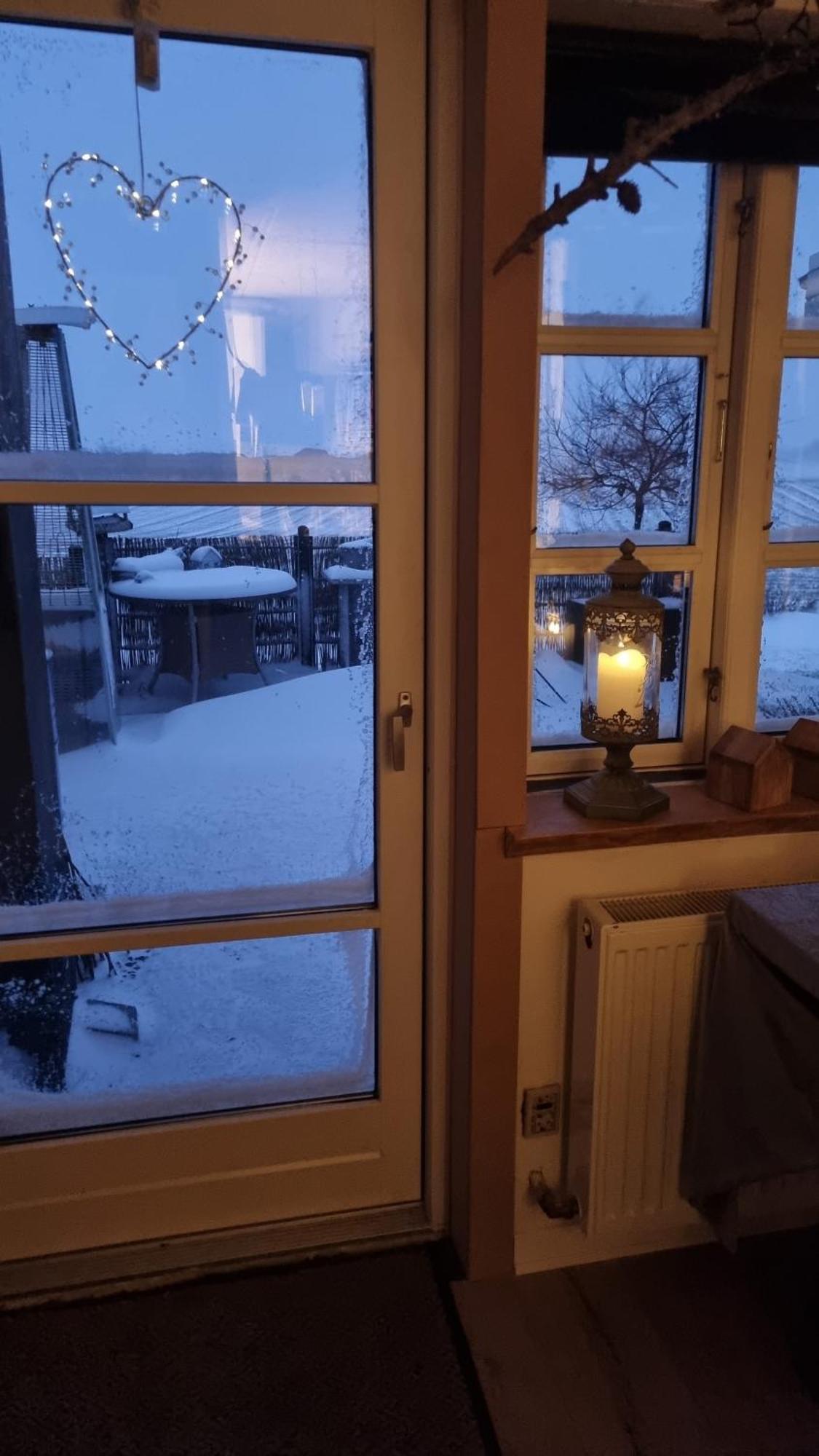Marsvinslund Bed And Breakfast Viborg Eksteriør bilde