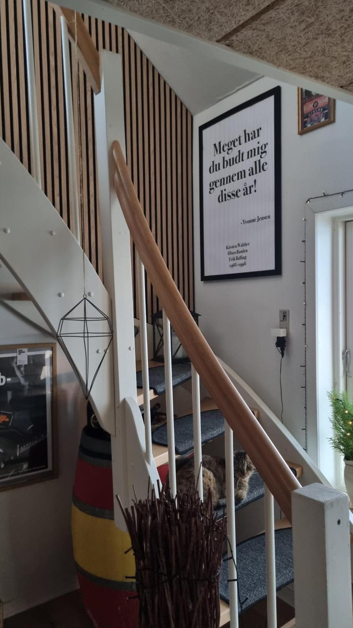 Marsvinslund Bed And Breakfast Viborg Eksteriør bilde