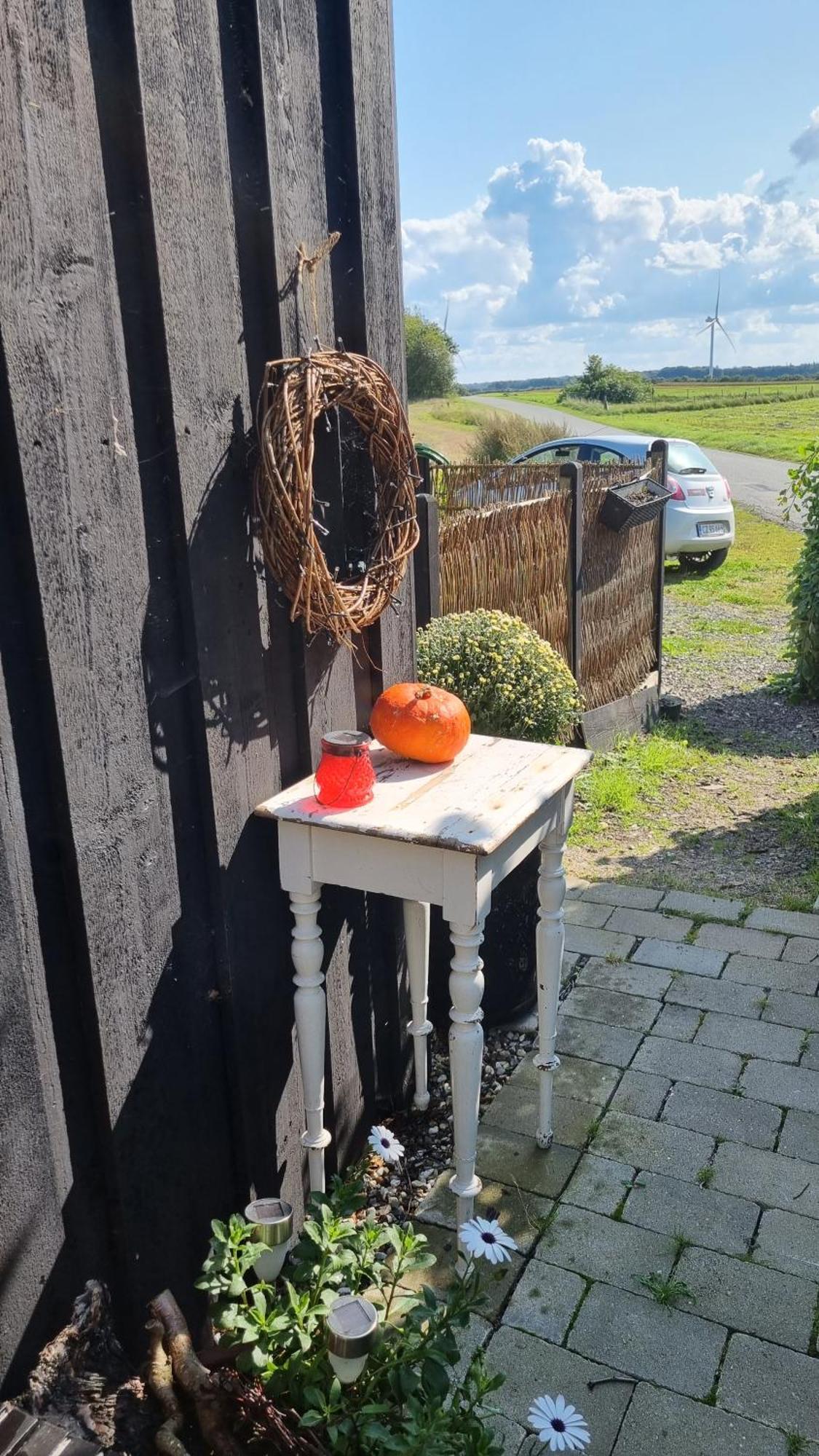 Marsvinslund Bed And Breakfast Viborg Eksteriør bilde